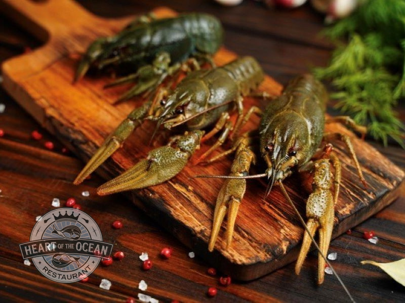 Живые раки М