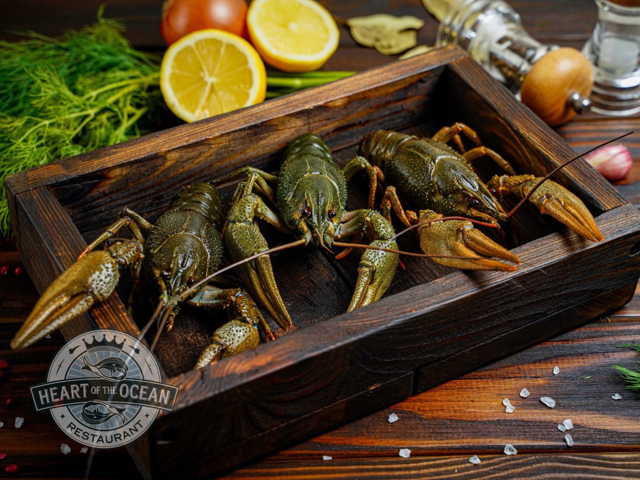 Живые раки XL